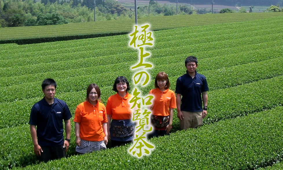 トップページ - 株式会社 枦川製茶 | 鹿児島知覧茶 高級知覧茶のお茶